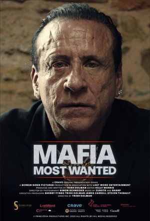 Mafia: Most Wanted Season 1 (Complete)