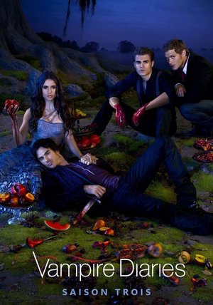 The Vampire Diaries Season 1 - 8 ( Complete TV Series )